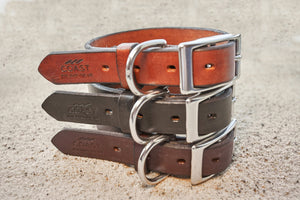 coast-line-2 - Leather Collar - Collar