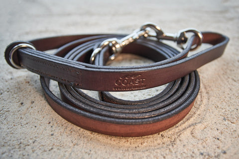 Leather Leash