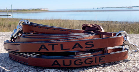 Leather Leash