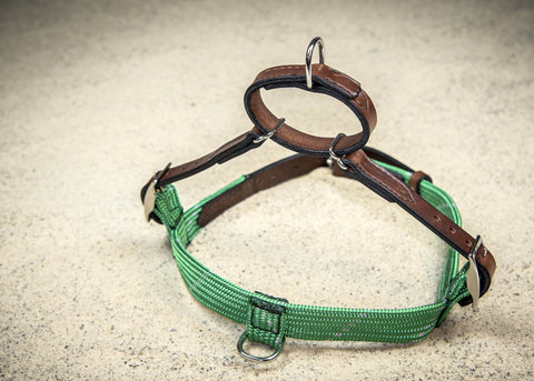 Rope & Leather Harness