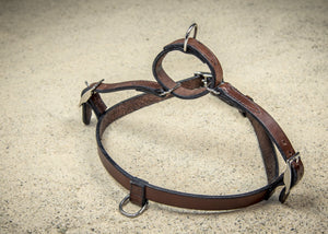 coast-line-2 - Leather Harness - Harness