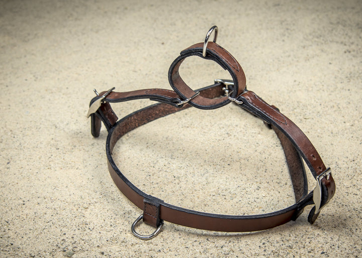 coast-line-2 - Leather Harness - Harness