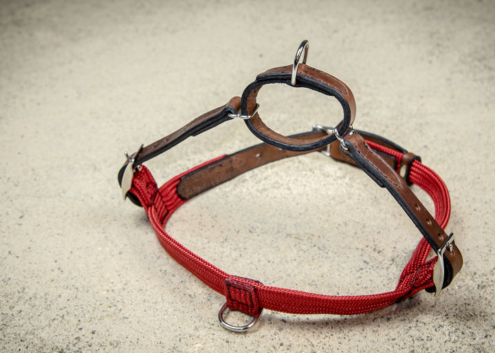 coast-line-2 - Rope & Leather Harness - Harness